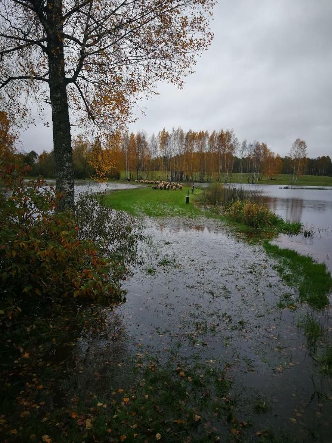 Sodyba Vieversyne Duokiskis Zewnętrze zdjęcie