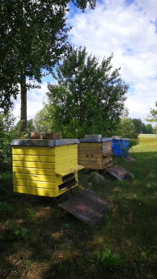 Sodyba Vieversyne Duokiskis Zewnętrze zdjęcie